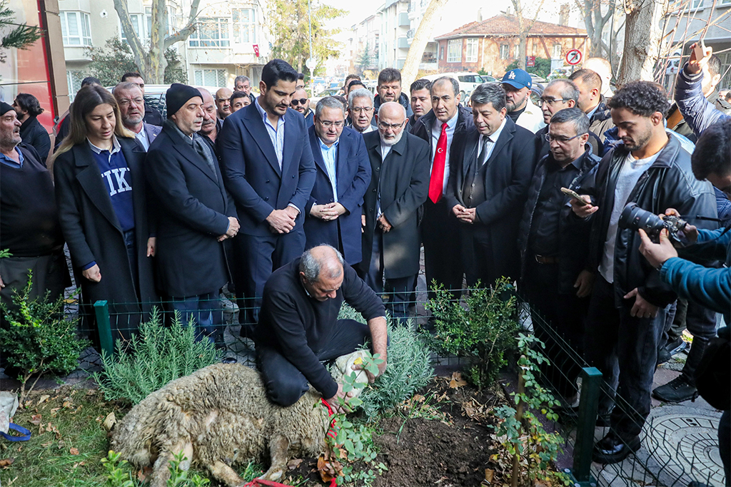 Türkiye Güreş Federasyonu Başkanı Taha Akgül, göreve başladı
